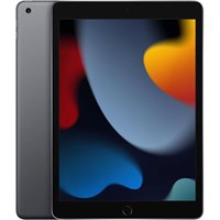 IPAD GEN 9 (2021) 10.2 INCH 256GB WIFI